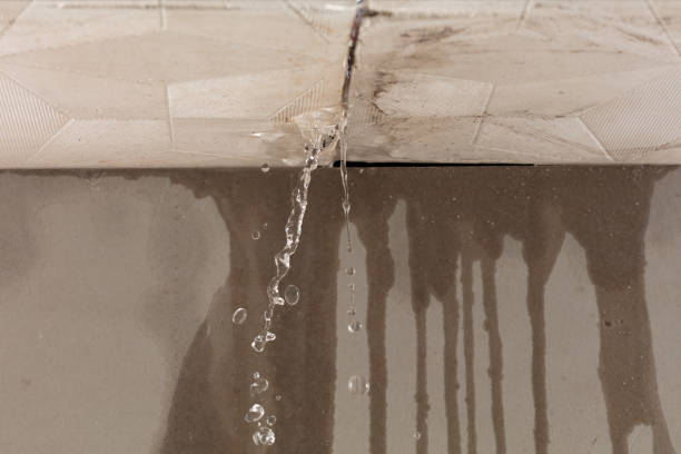 Professional Burst Pipe Cleanup technician working in Dillard, GA